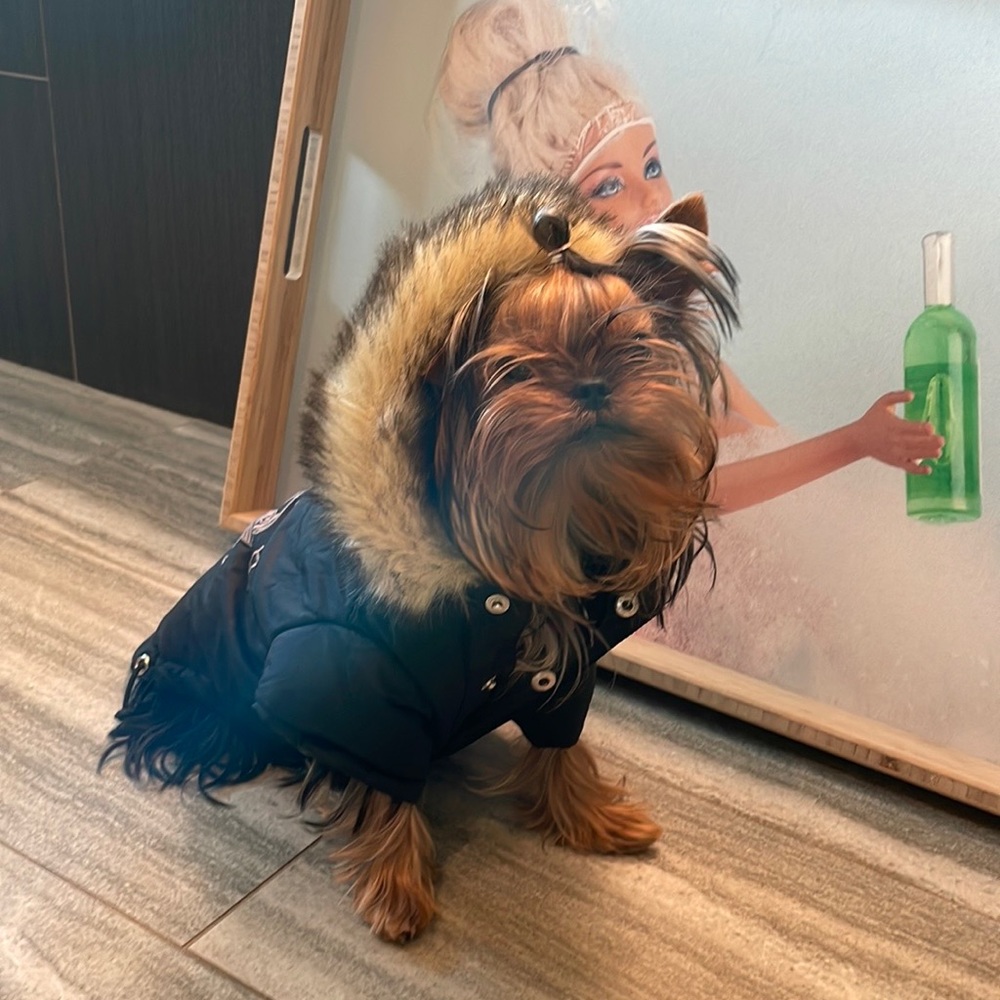 Juicy Couture Dog Coat